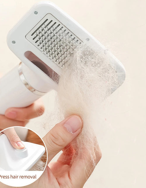 Load image into Gallery viewer, 2-In-1 Pet Dog Dryer Quiet Dog Hair Dryers and Comb Brush Grooming Kitten Cat Hair Comb Puppy Fur Blower Low Noise Temprature
